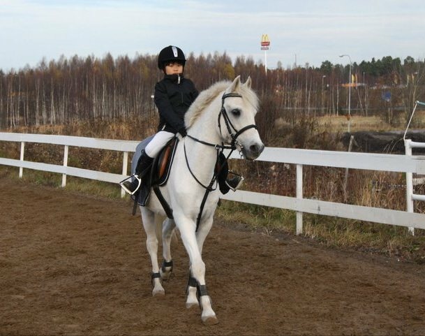 Mitt första KM på Rambo. Slutade med avramling vilket inte var något helt nytt